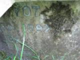 image of grave number 443575
